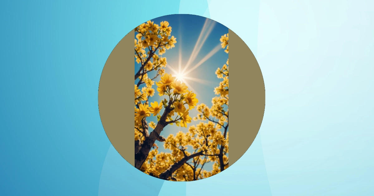 Transform Your Room with 6 Sunny Wallpaper Ideas