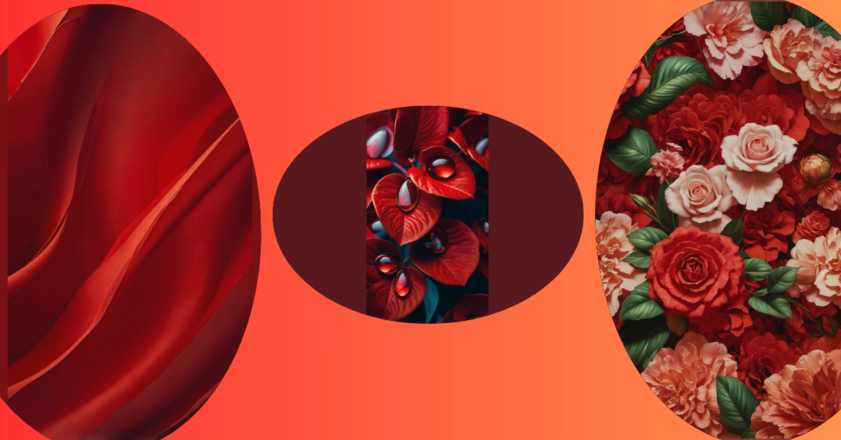Add a Pop of Black and Red to Your Walls